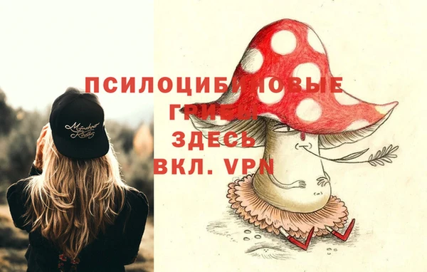 спиды Магас