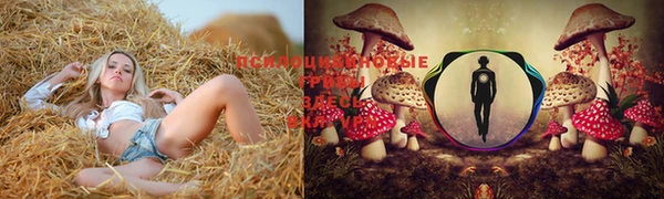 спиды Магас