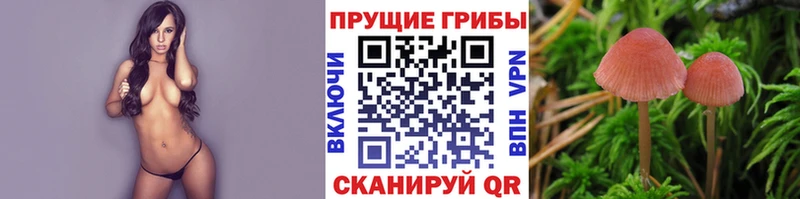 Галлюциногенные грибы прущие грибы  гидра онион  Феодосия  где продают наркотики 