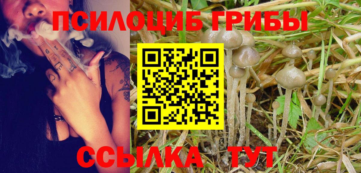 Галлюциногенные грибы Cubensis  Вход с VPN  Феодосия 