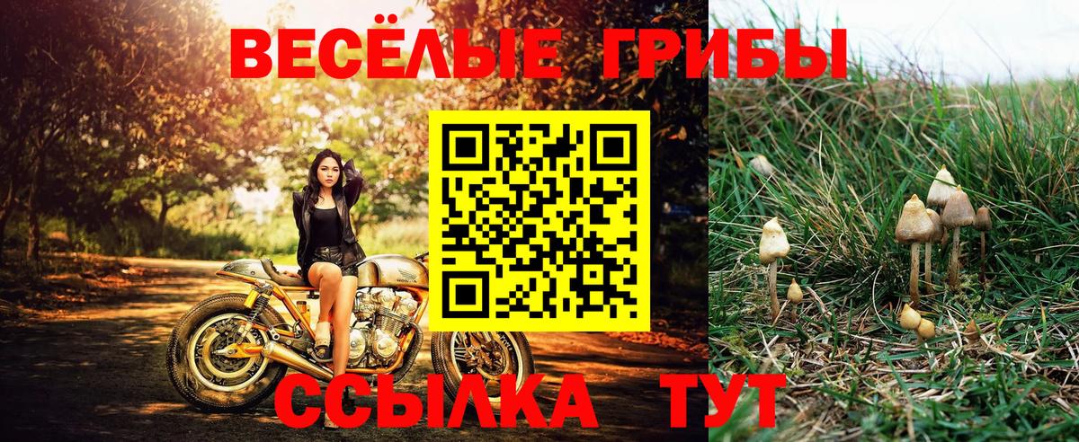 Галлюциногенные грибы Magic Shrooms Феодосия
